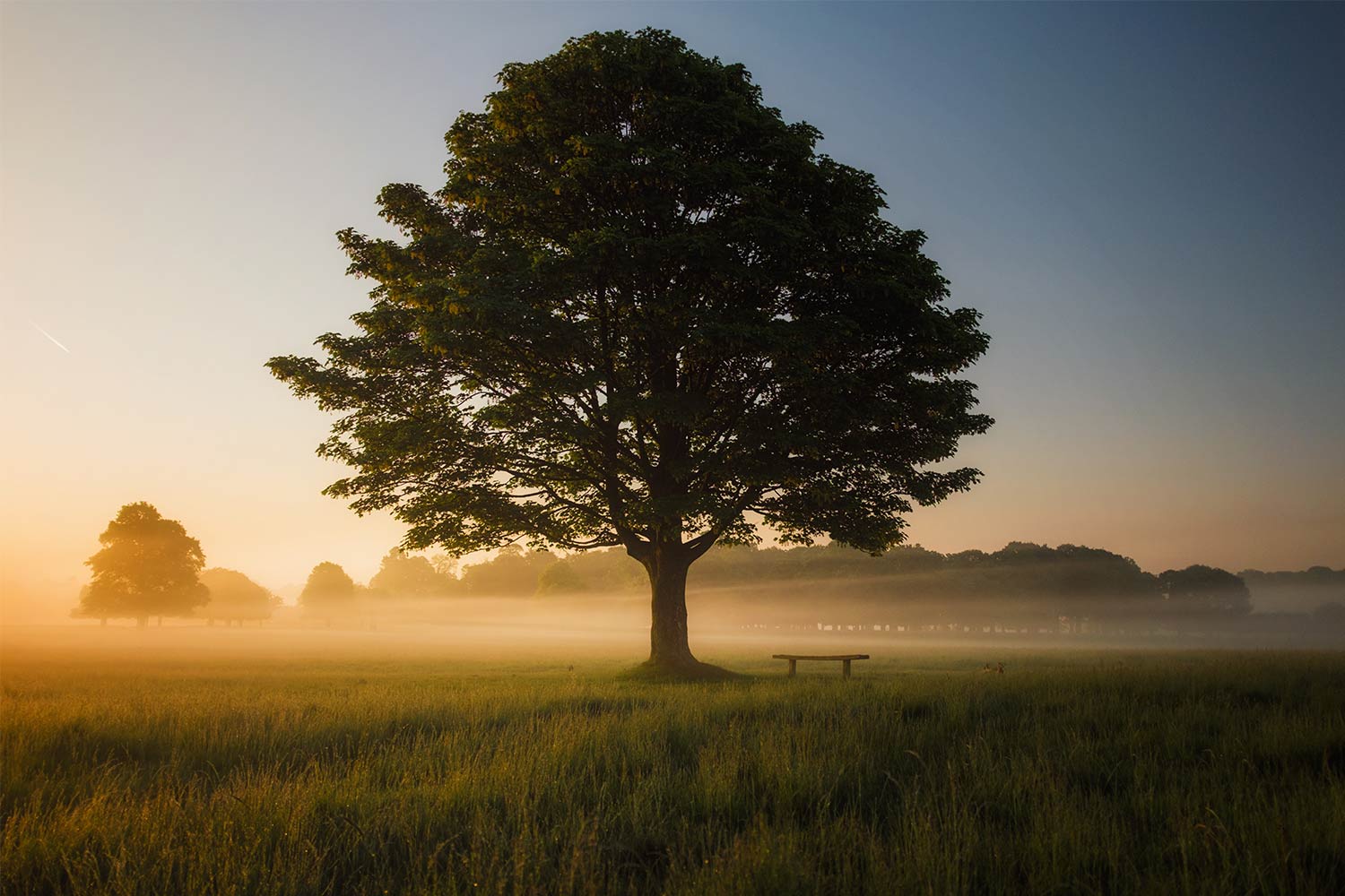 Deepening Connection and Healing through the Group Experience