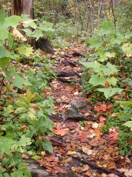 Lake Placid Mtn Path Carla