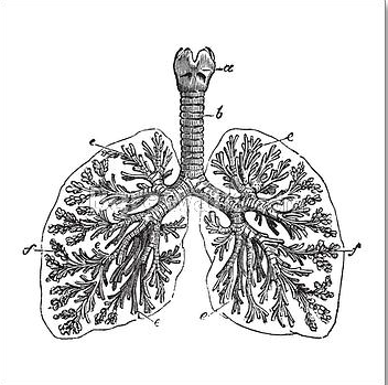 Why I Believe 4-7-8 Breath is a Good Daily Practice