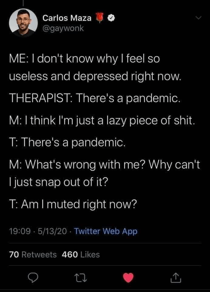 Pandemic Coping Meme