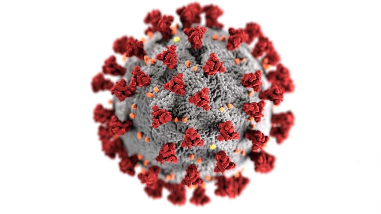 covid-19-virus