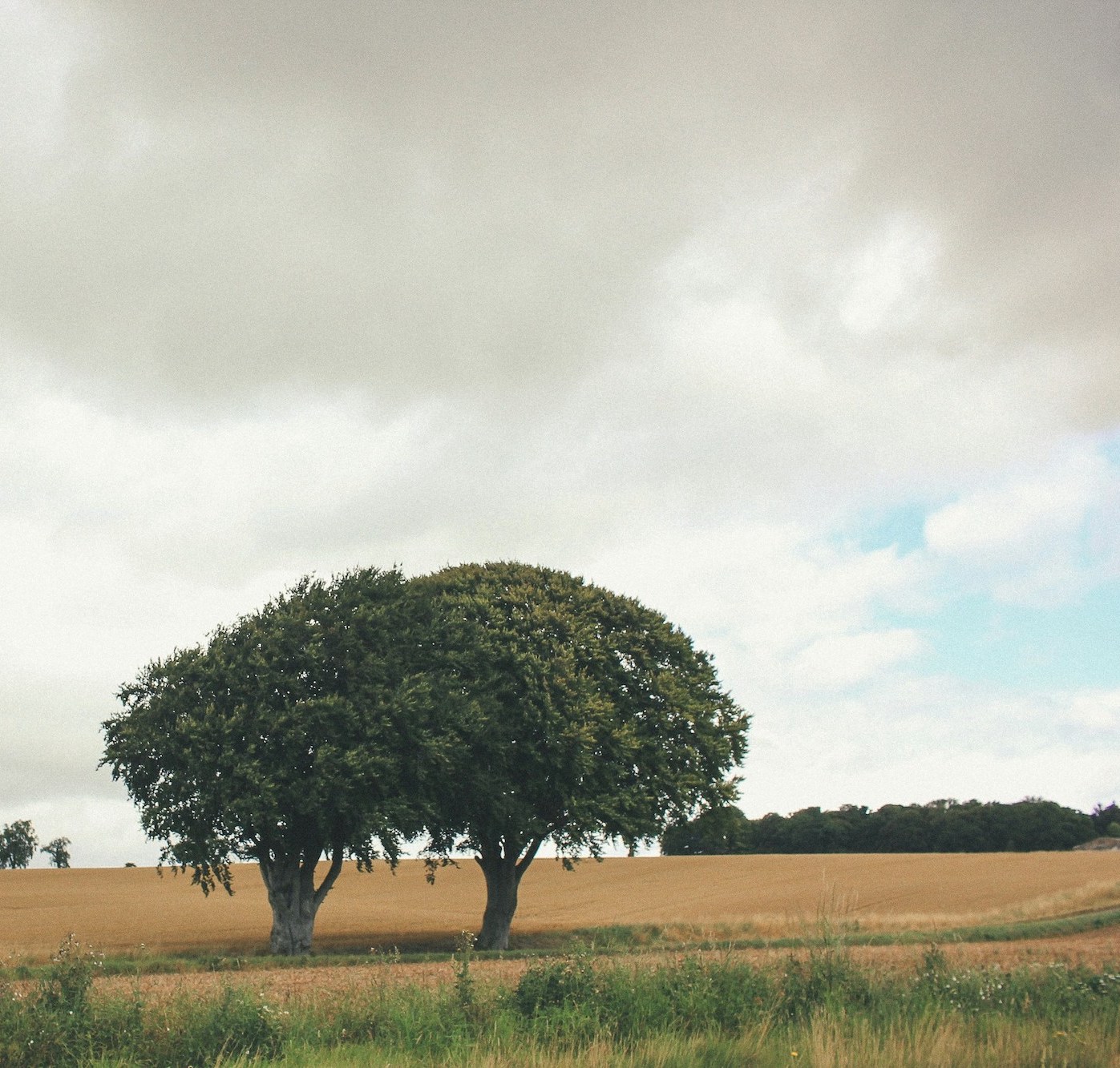 Practicing Together: Therapy in Uncertain Times