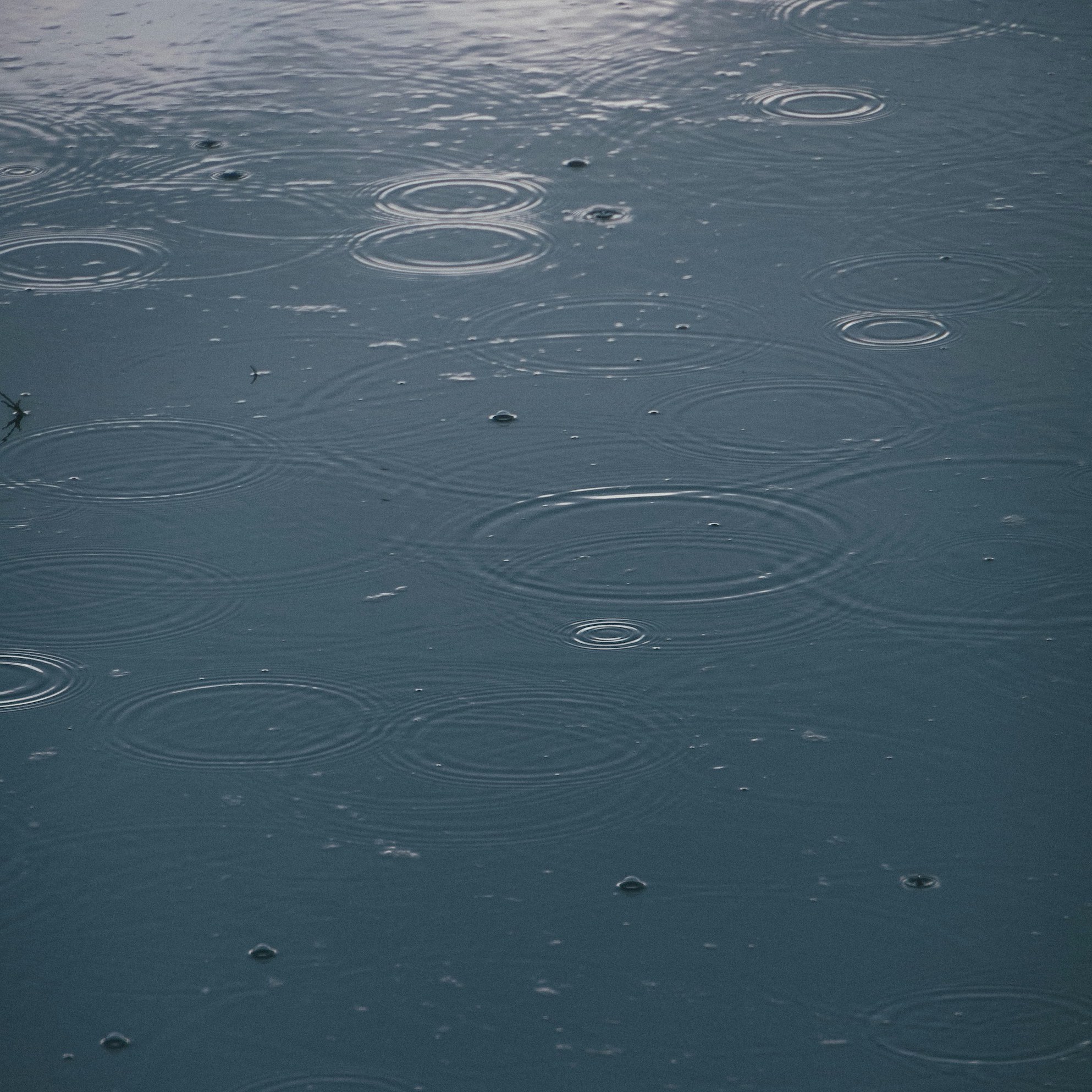 Grief Work: Honoring the Ebb and Flow